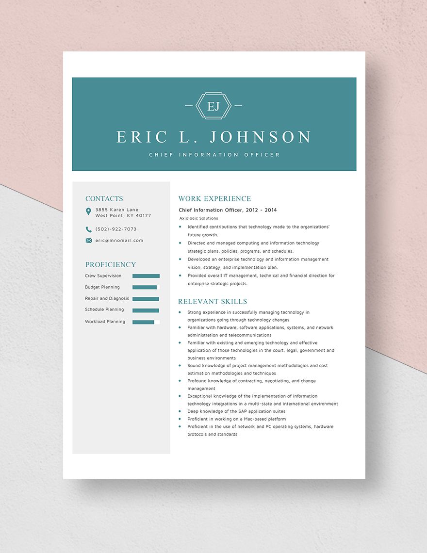 Chief Information Officer Resume