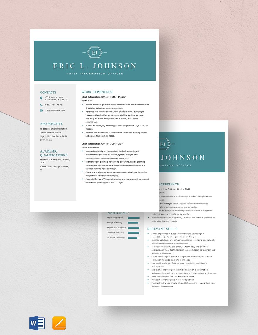 Chief Information Officer Resume