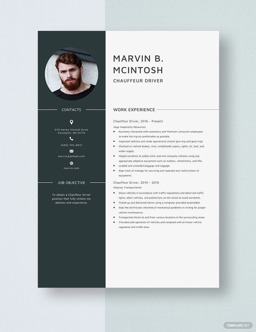 free-chauffeur-driver-resume-download-in-word-apple-pages-template