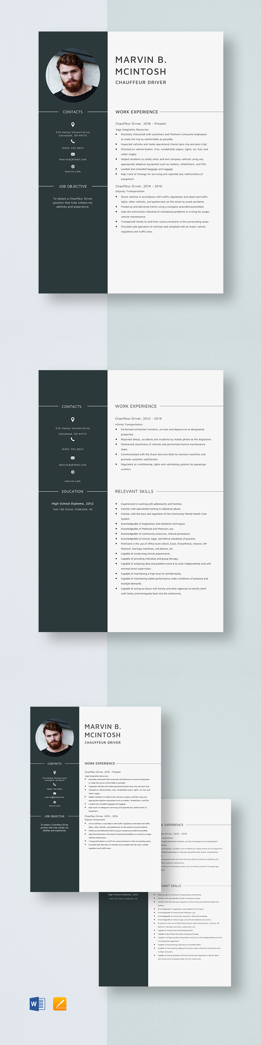 Chauffeur Driver Resume Template