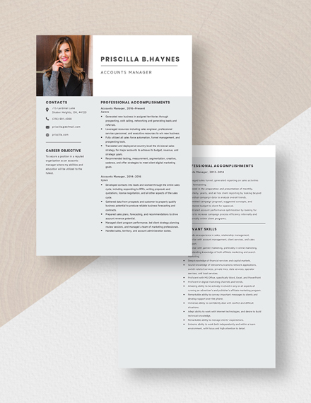 Accounts Manager Resume Download