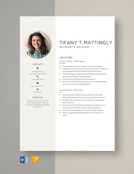accounts officer resume format in word