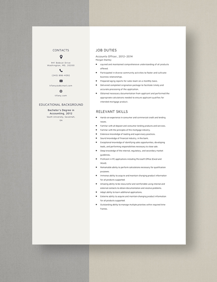 Accounts Officer Resume Template