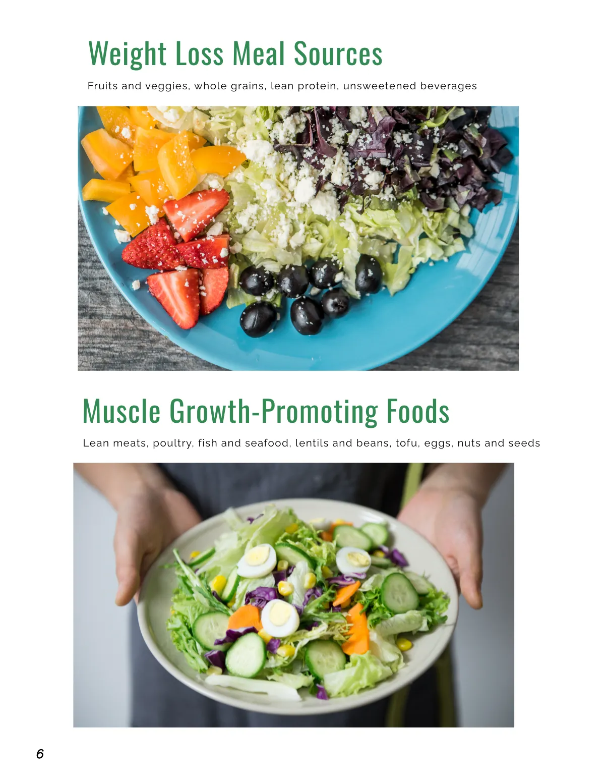 Free Sports Nutrition Catalog Template to Edit Online