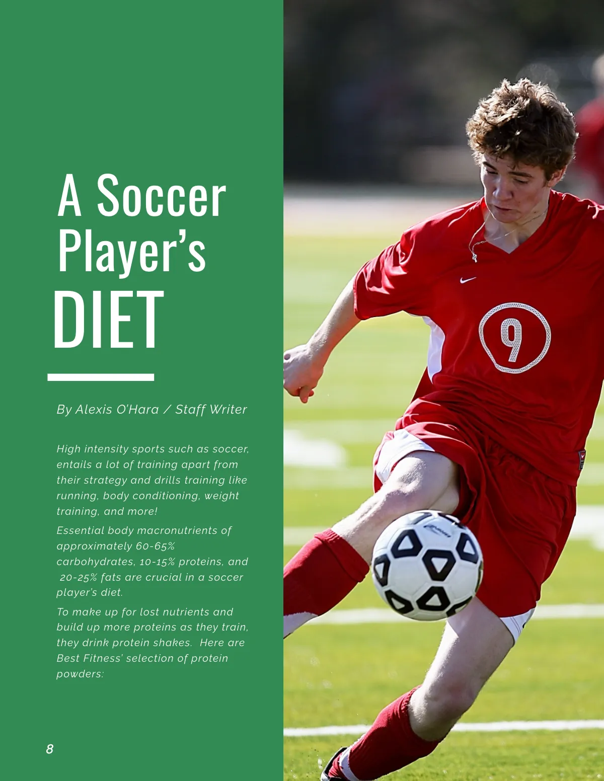 Free Sports Nutrition Catalog Template to Edit Online