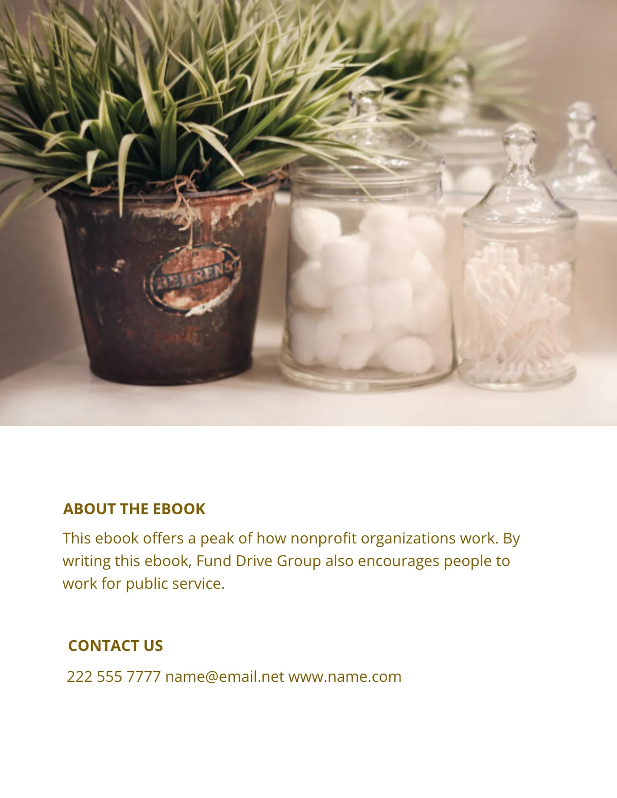 Free Nonprofit eBook Template to Edit Online