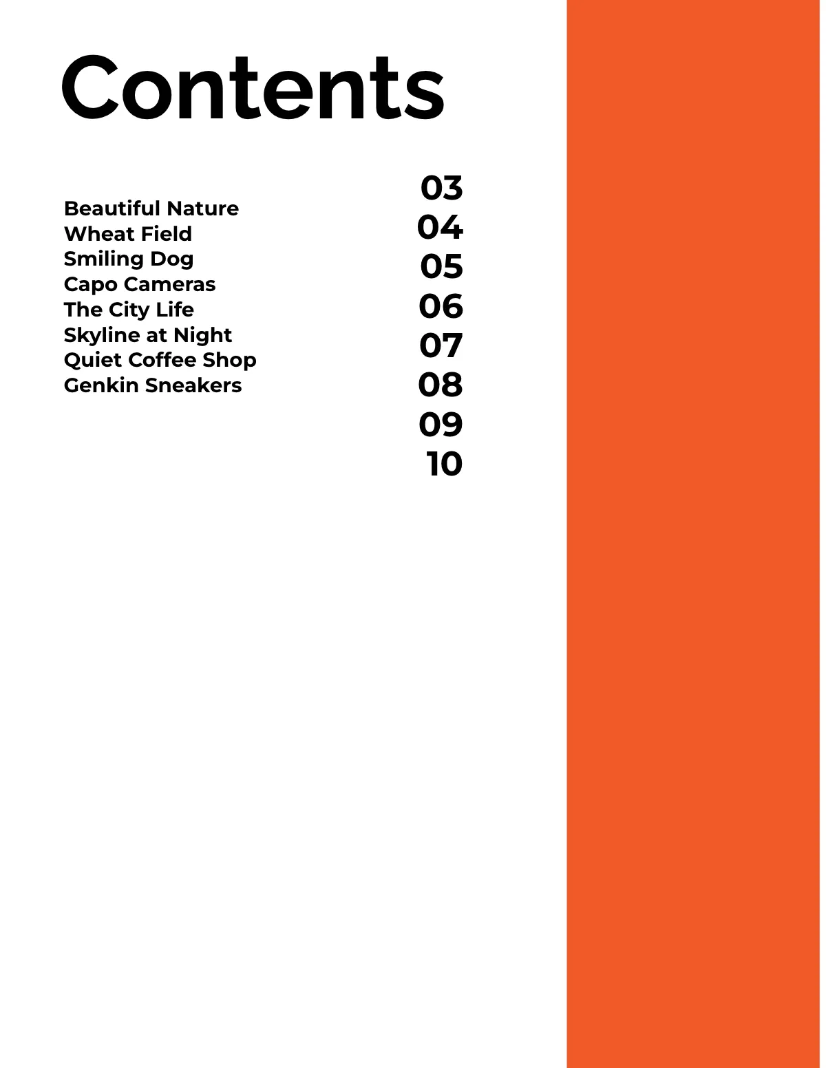 Free Multipurpose Portfolio Catalog Template to Edit Online