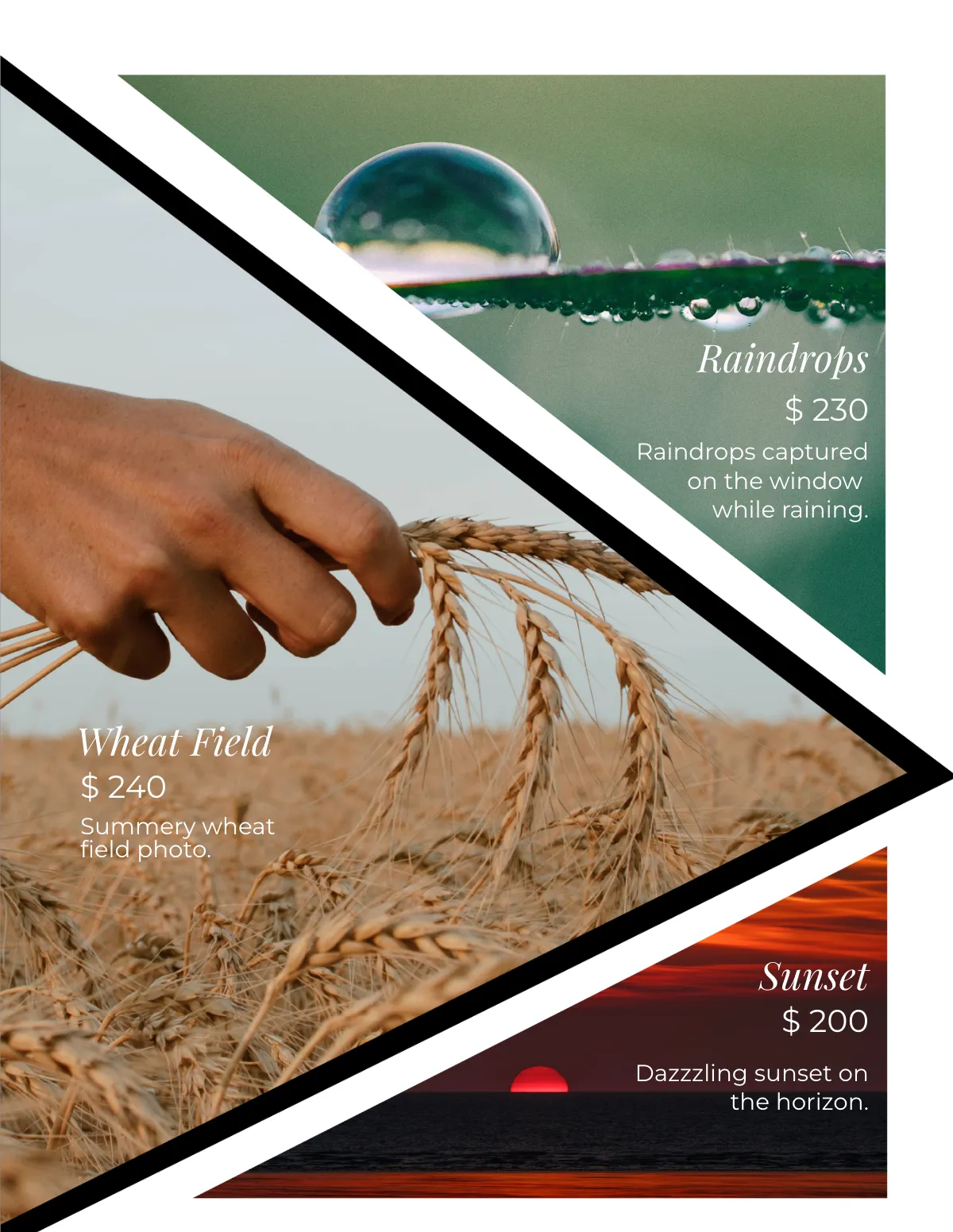 Free Multipurpose Portfolio Catalog Template to Edit Online