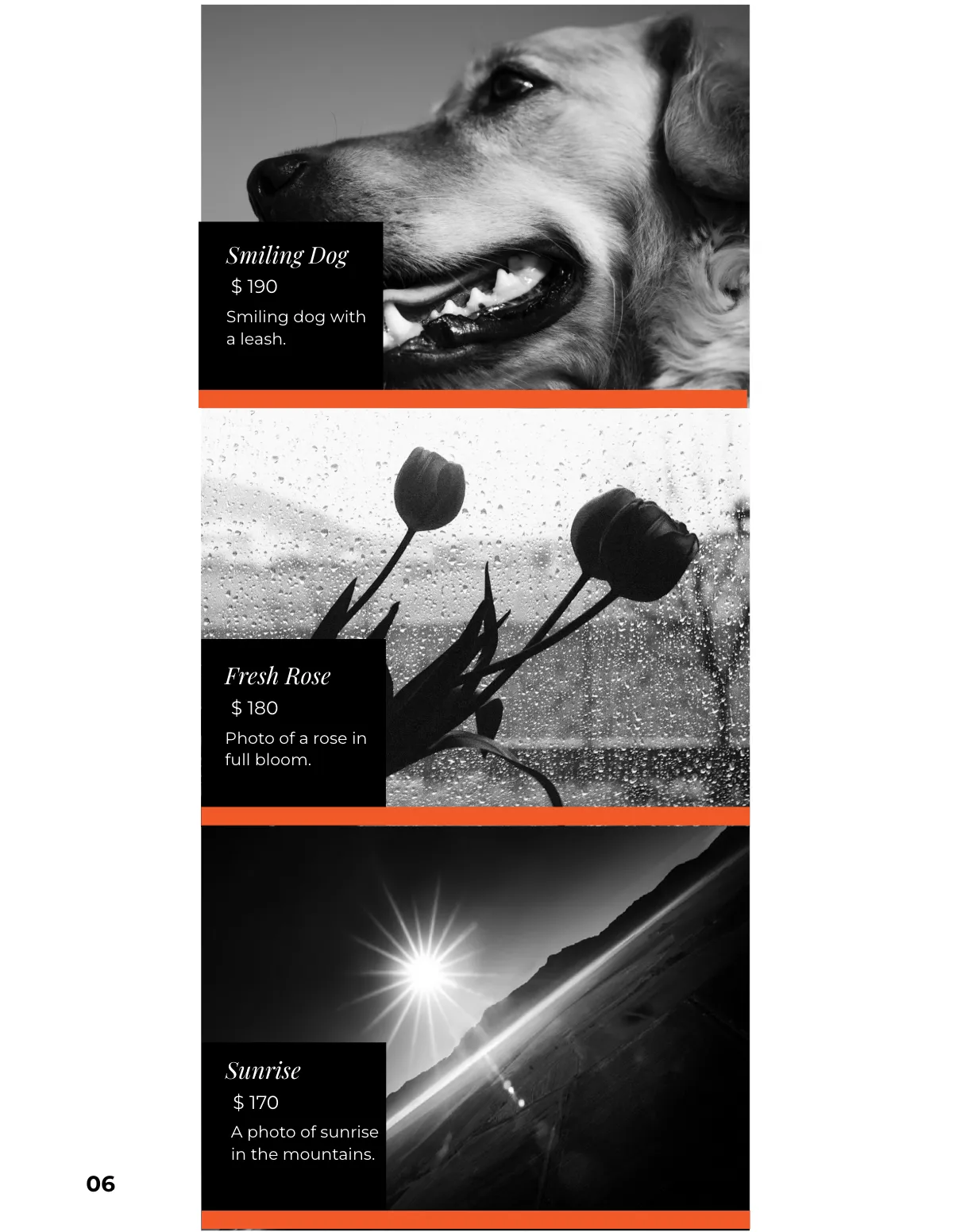 Free Multipurpose Portfolio Catalog Template to Edit Online