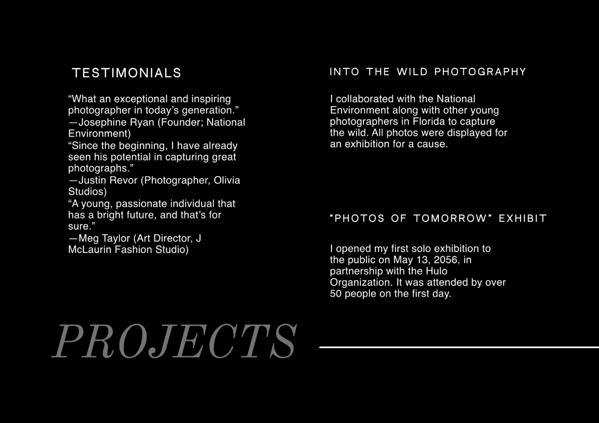 Free Career Portfolio Template to Edit Online