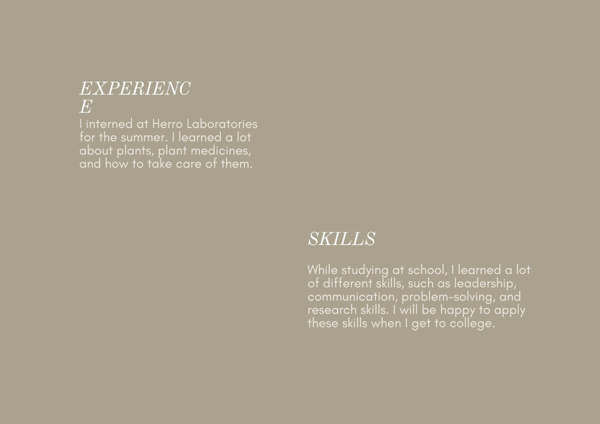 Free Colorful Student Portfolio Template to Edit Online