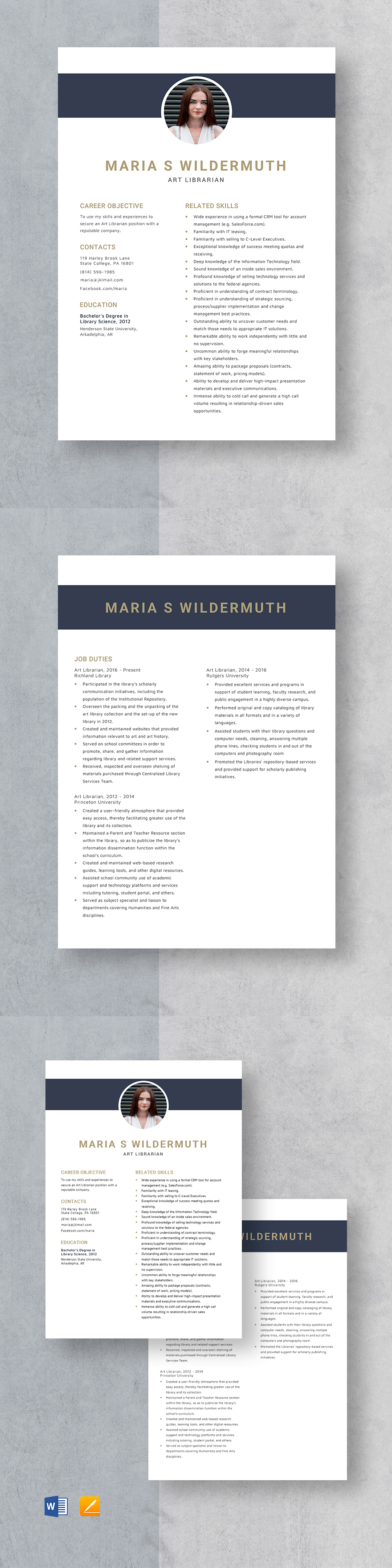 Academic Librarian Resume Template Word Apple Pages Template Net   Art Librarian Resume Template 3 