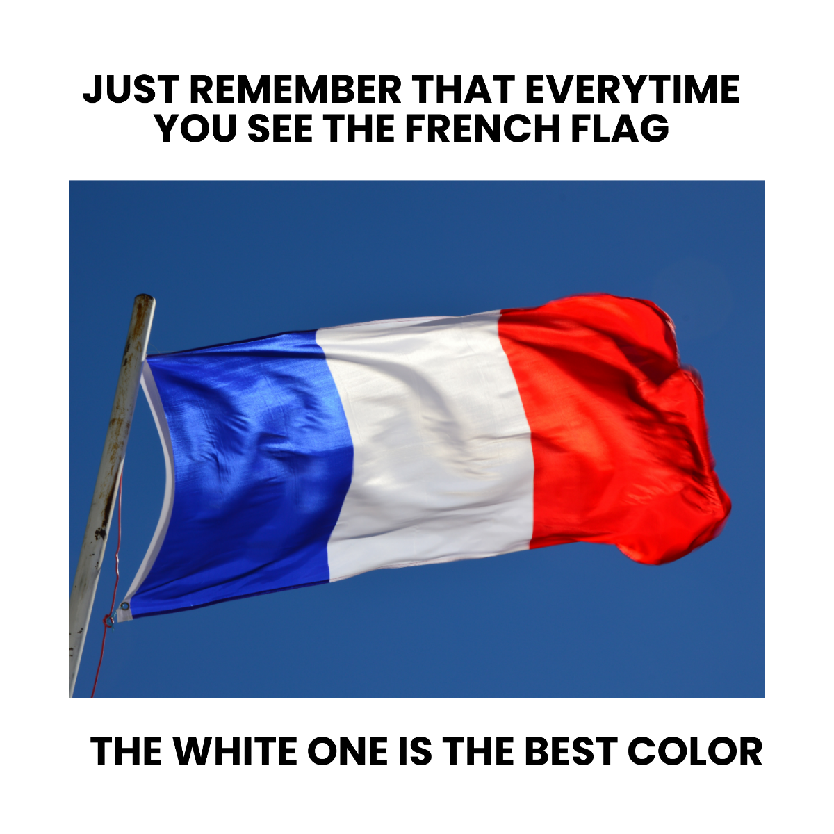 Free French Flag Meme Template