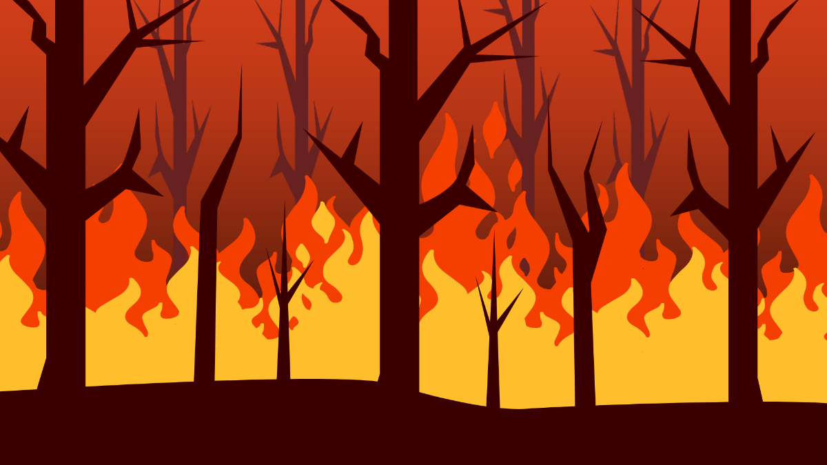 Forest Fire Background Template