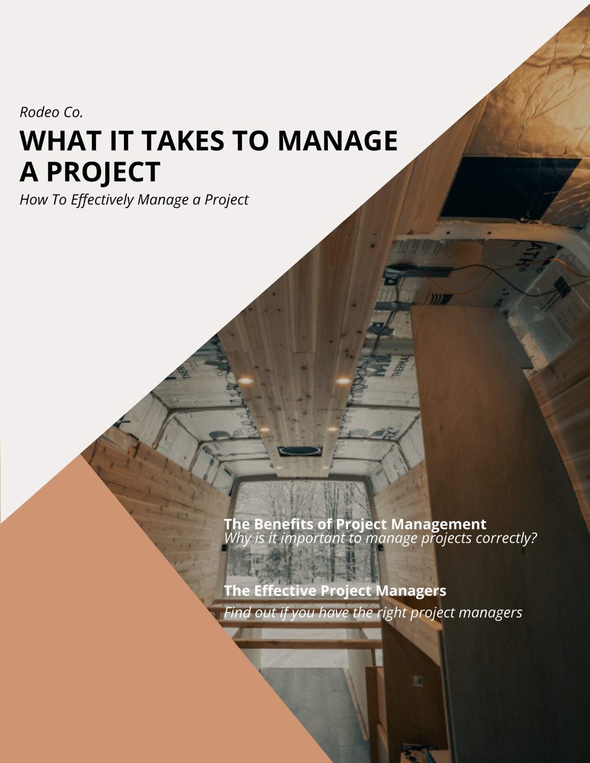 Project Management eBook Template
