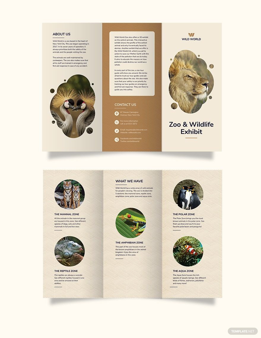 Zoo Tri-Fold Brochure Template in Word, Google Docs, Illustrator, PSD, Apple Pages, Publisher, InDesign