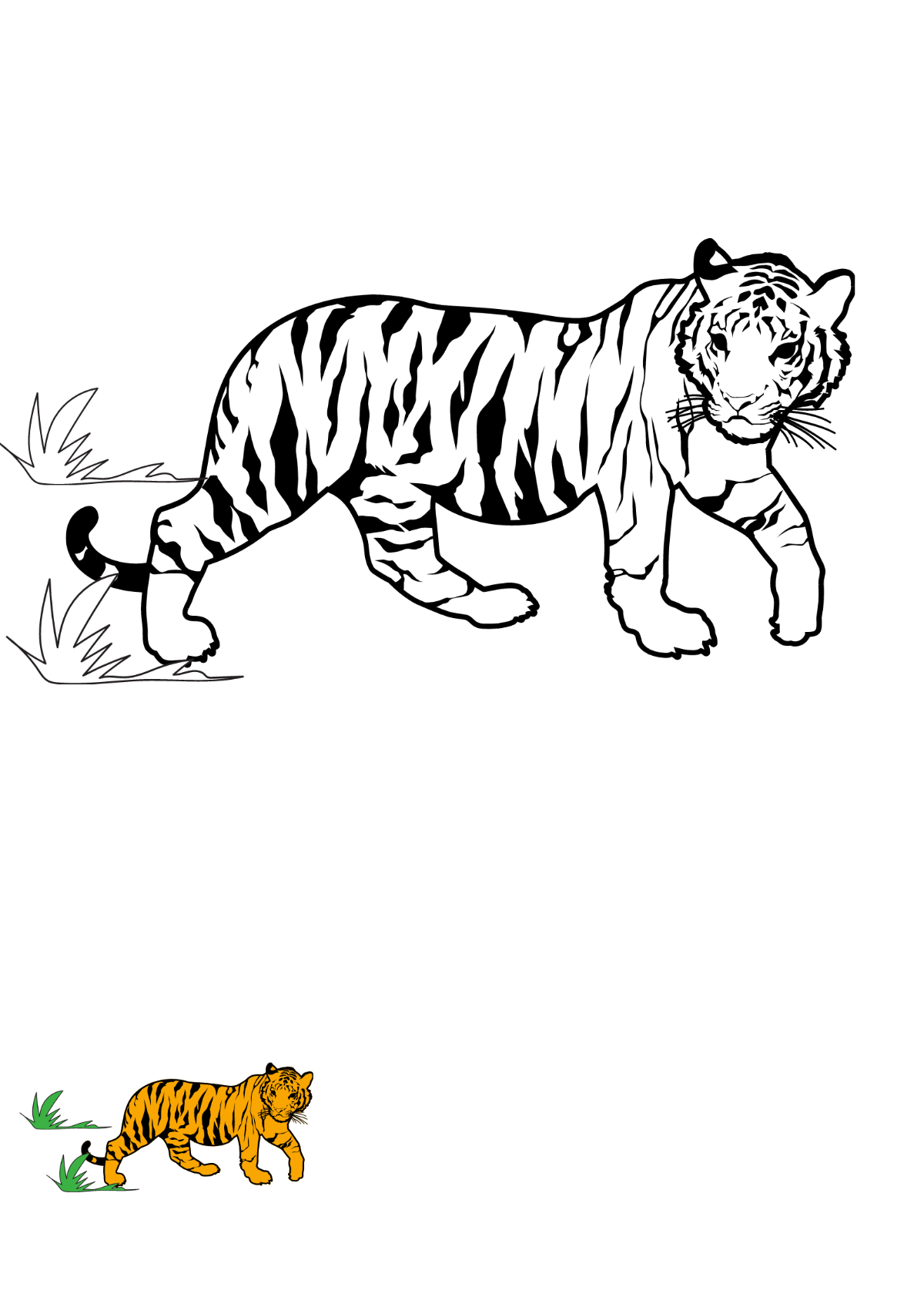 Old Tiger Coloring Page Template