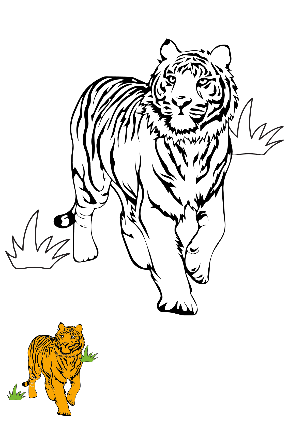 Standing Tiger Coloring Page Template