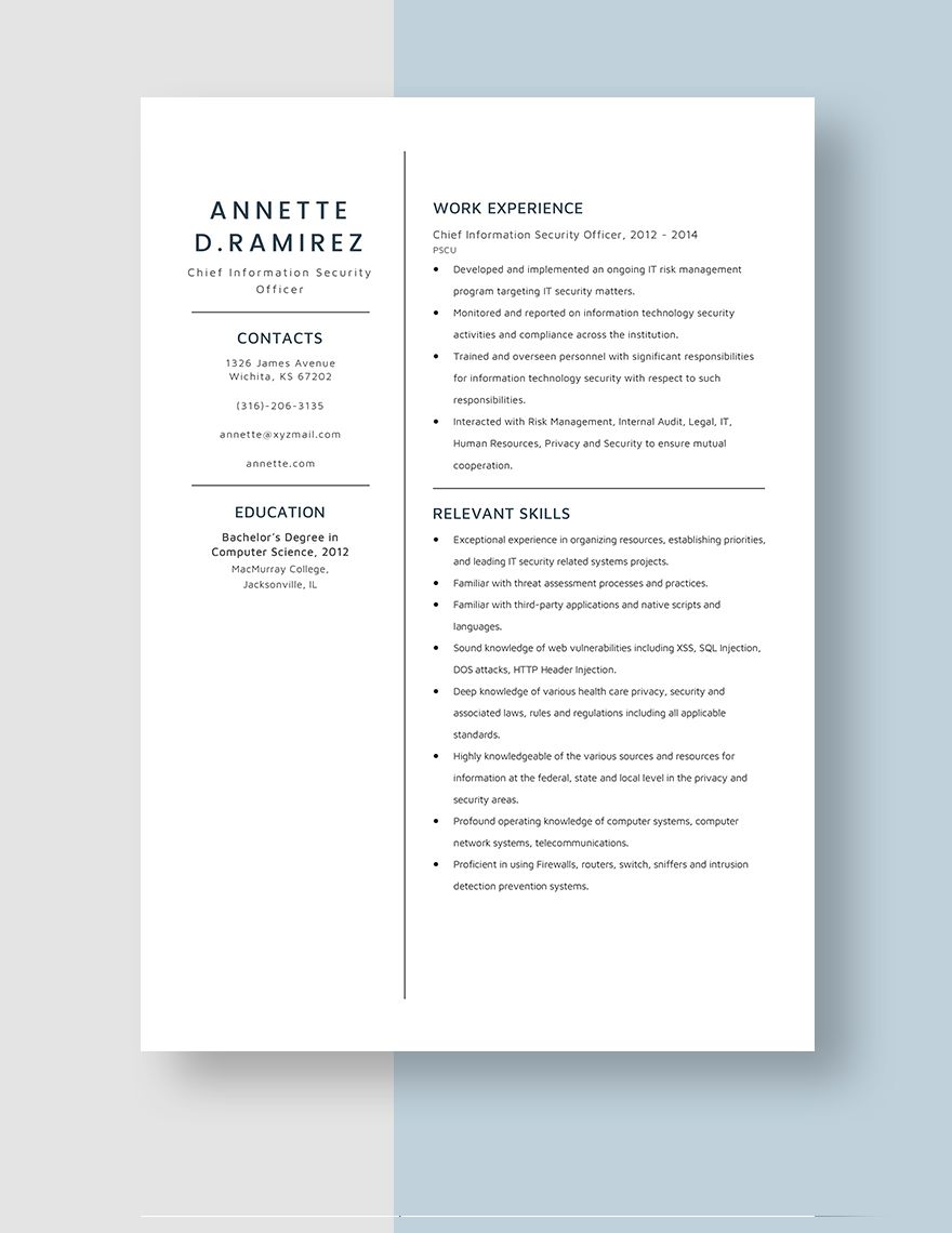 Chief Information Security Officer Resume