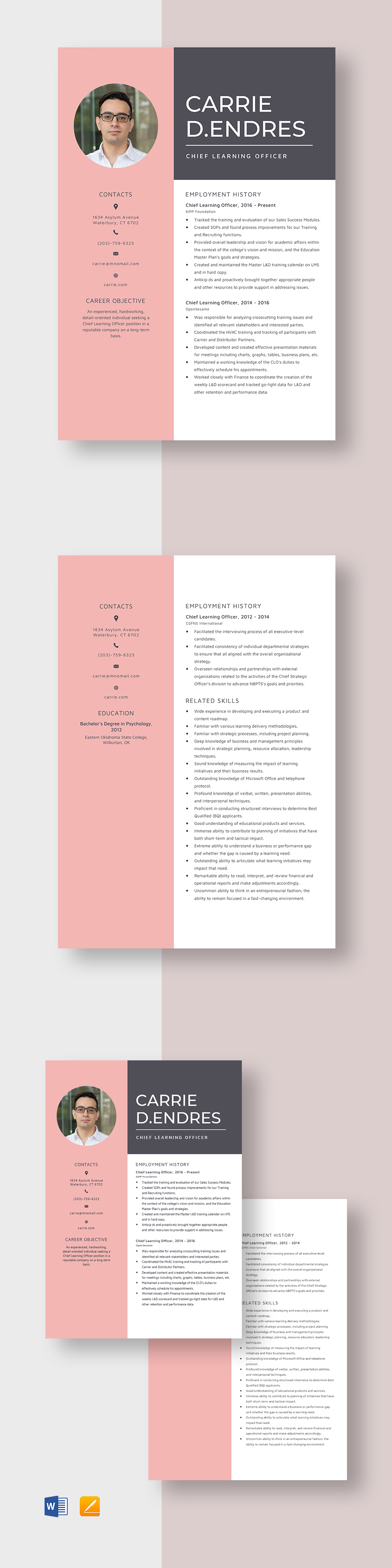 Chief Medical Officer Resume Template Word, Apple Pages