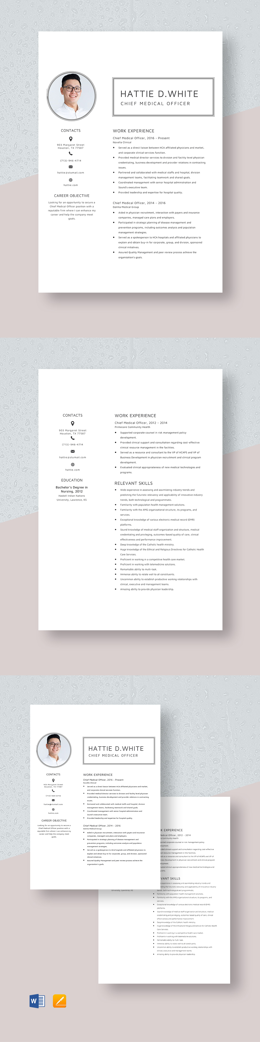 chief-information-officer-resume-template-word-apple-pages