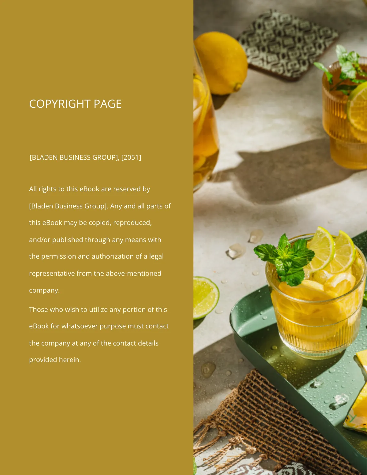 Freelancer eBook Template to Edit Online Freelancer eBook Template to Edit Online