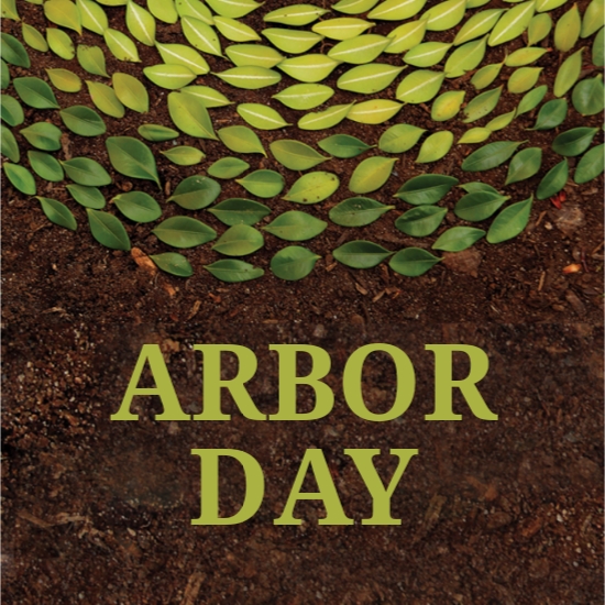 Arbor Day Tumblr Profile Photo Template.jpe