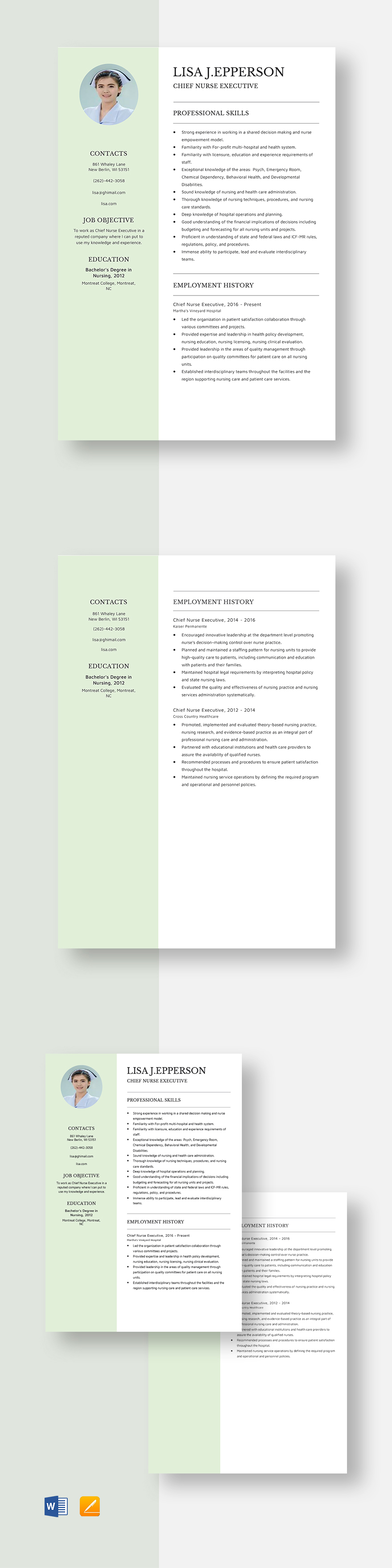 chief-nurse-executive-resume-template-word-apple-pages-template