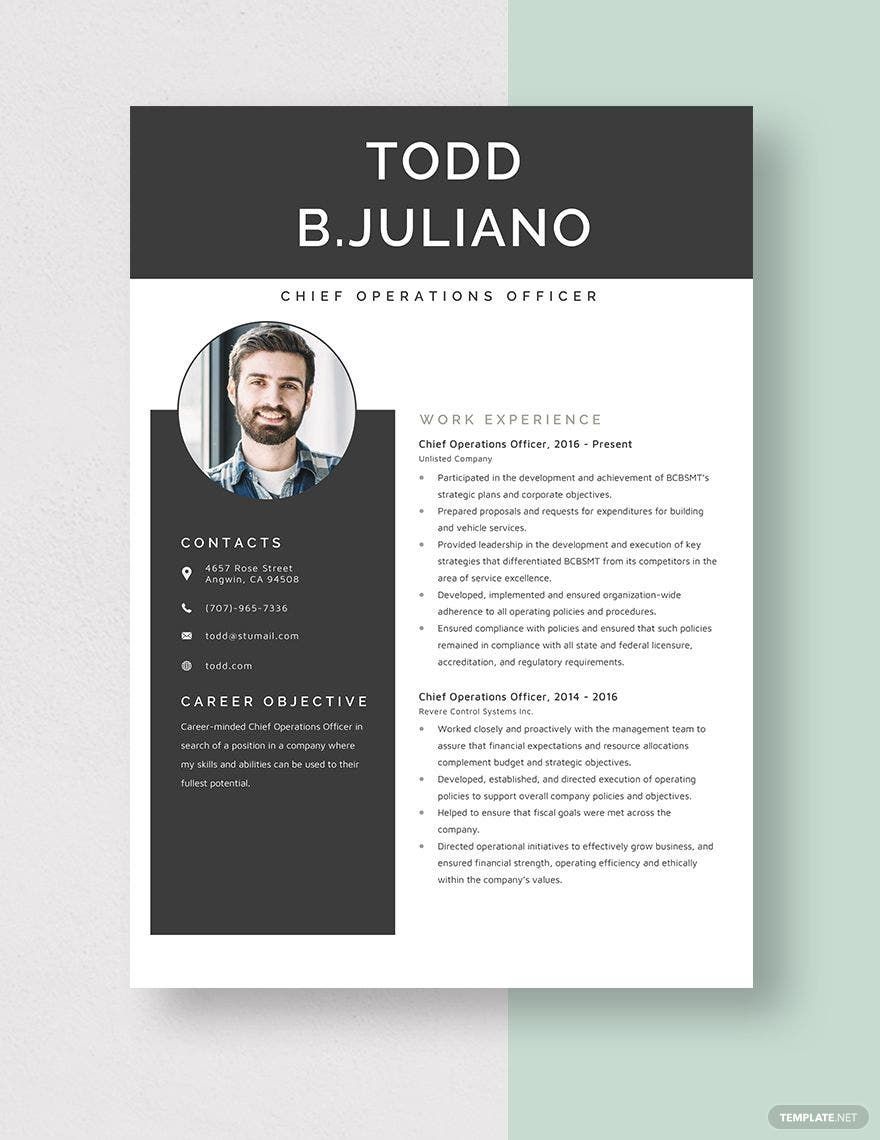 Chief Operations Officer Resume