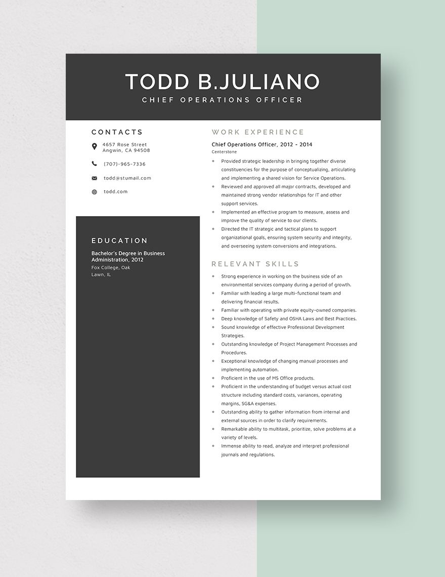 Chief Operations Officer Resume
