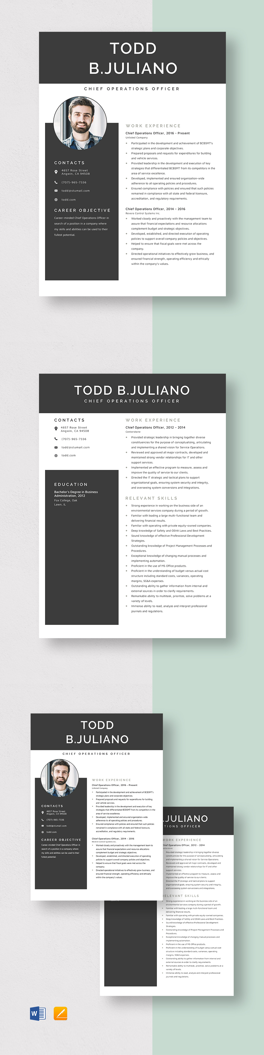 Chief Information Security Officer - Chief Operations Officer Resume Template 1 