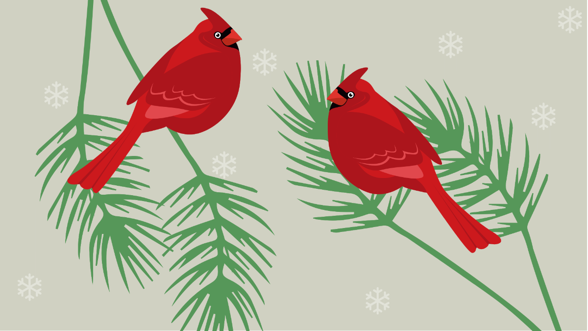 Free Winter Cardinal Background Template