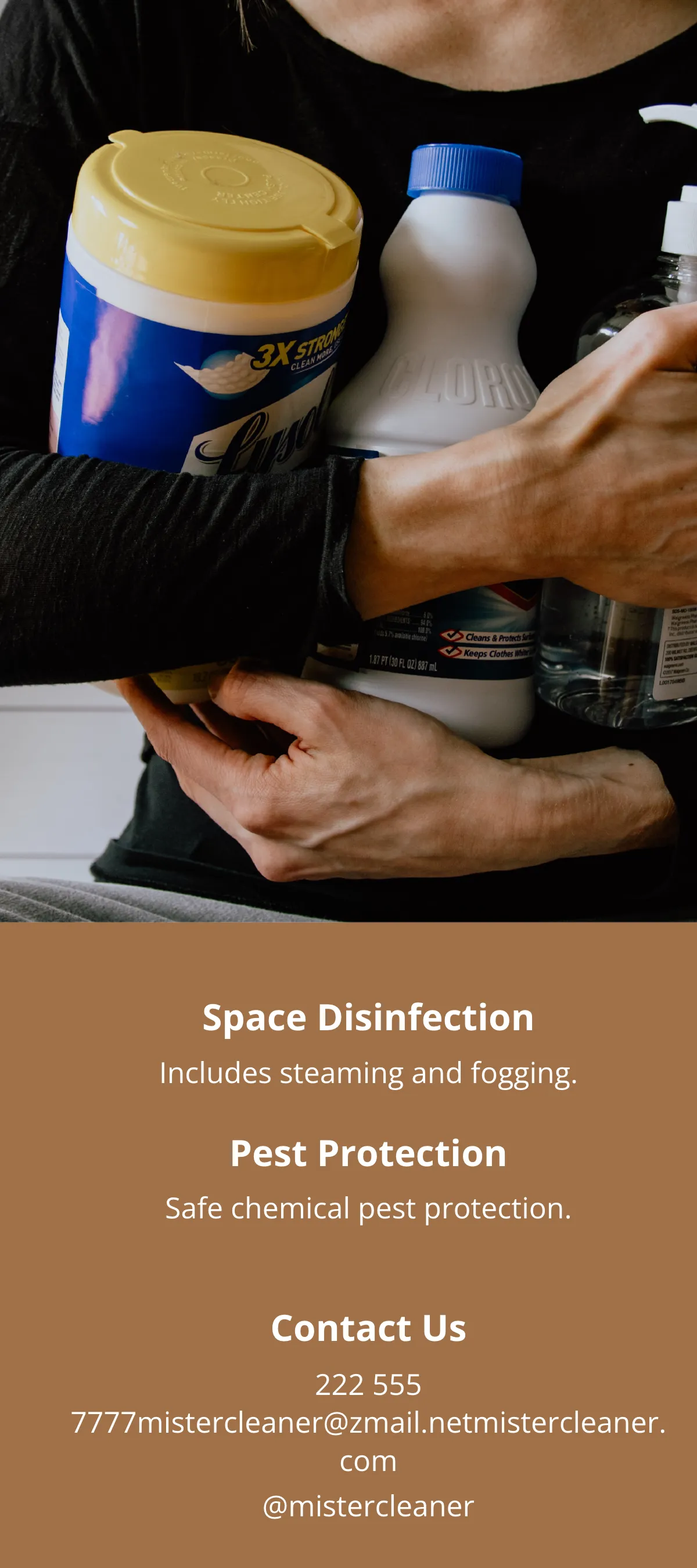 Free Professional Cleaning Service DL Card Template to Edit Online