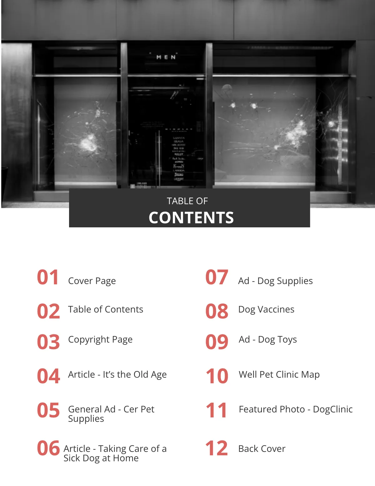 Free Blank eBook Template to Edit Online