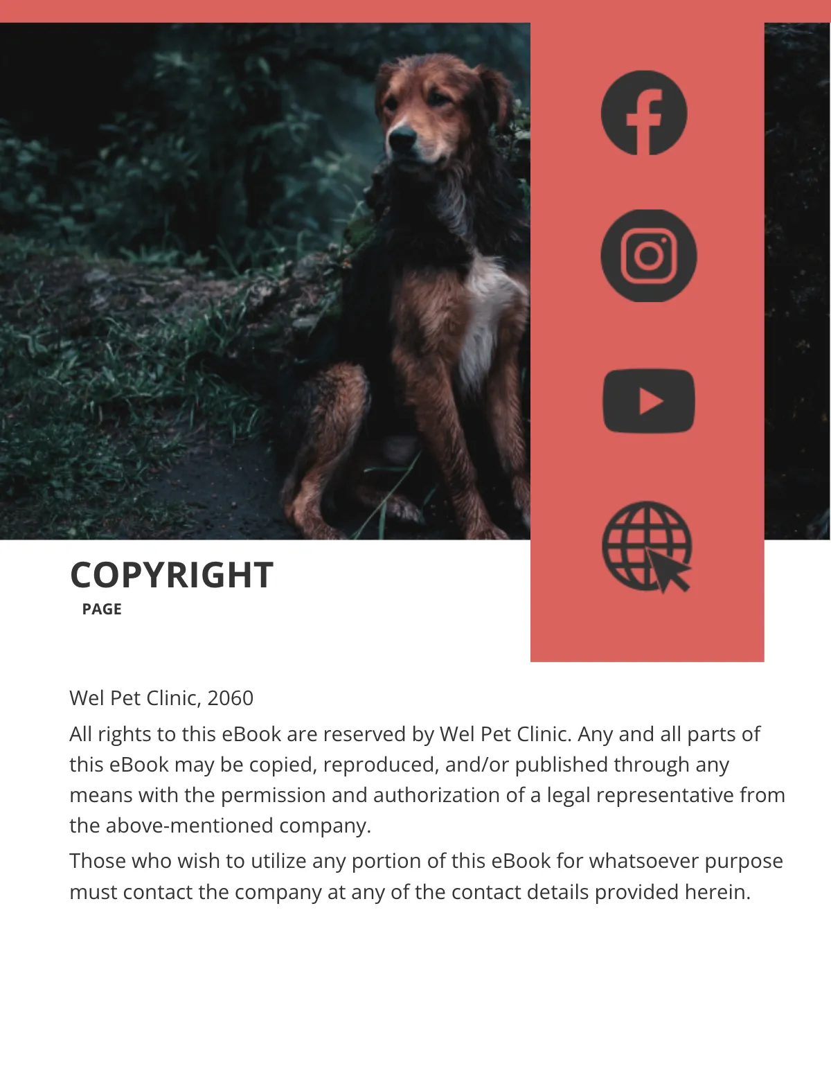 Free Blank eBook Template to Edit Online