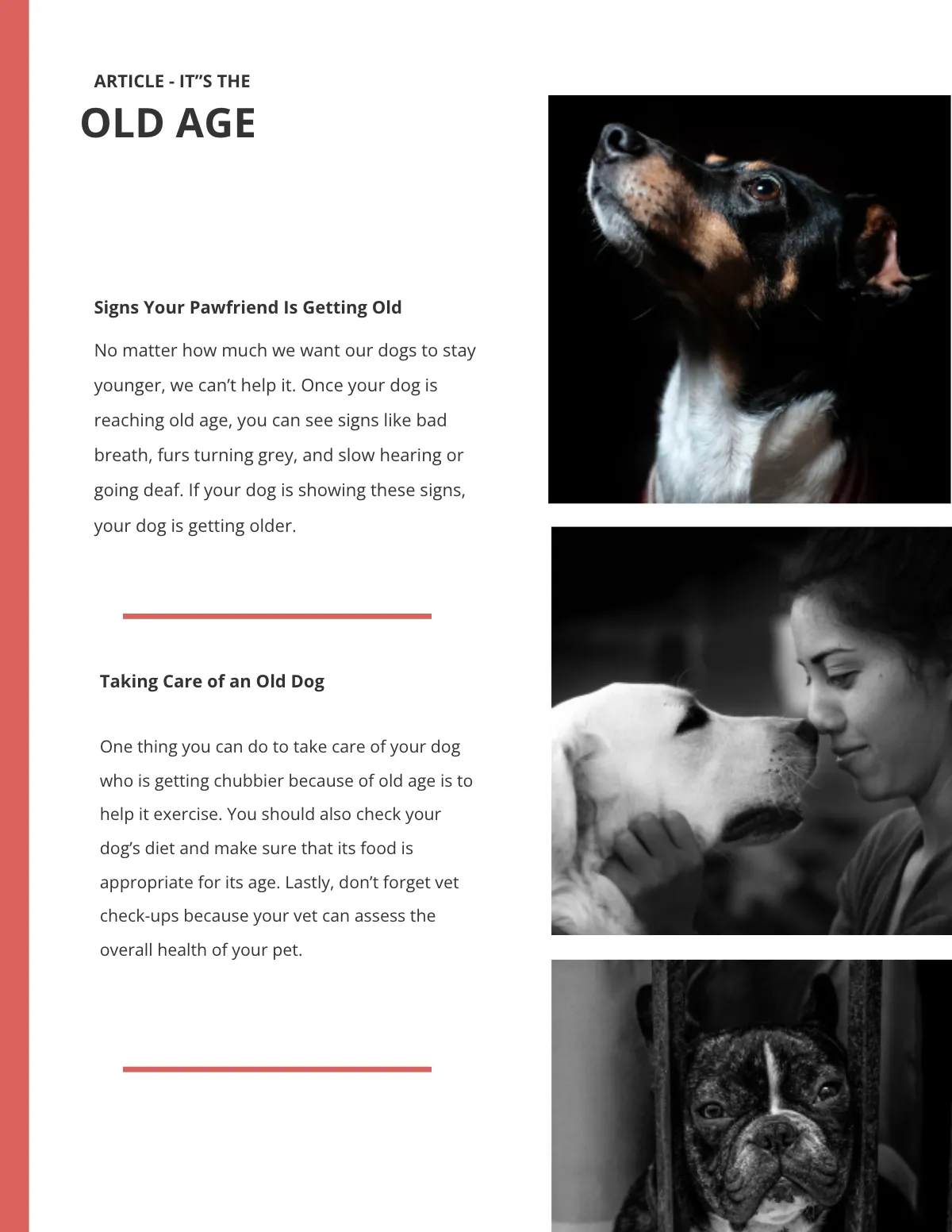 Free Blank eBook Template to Edit Online