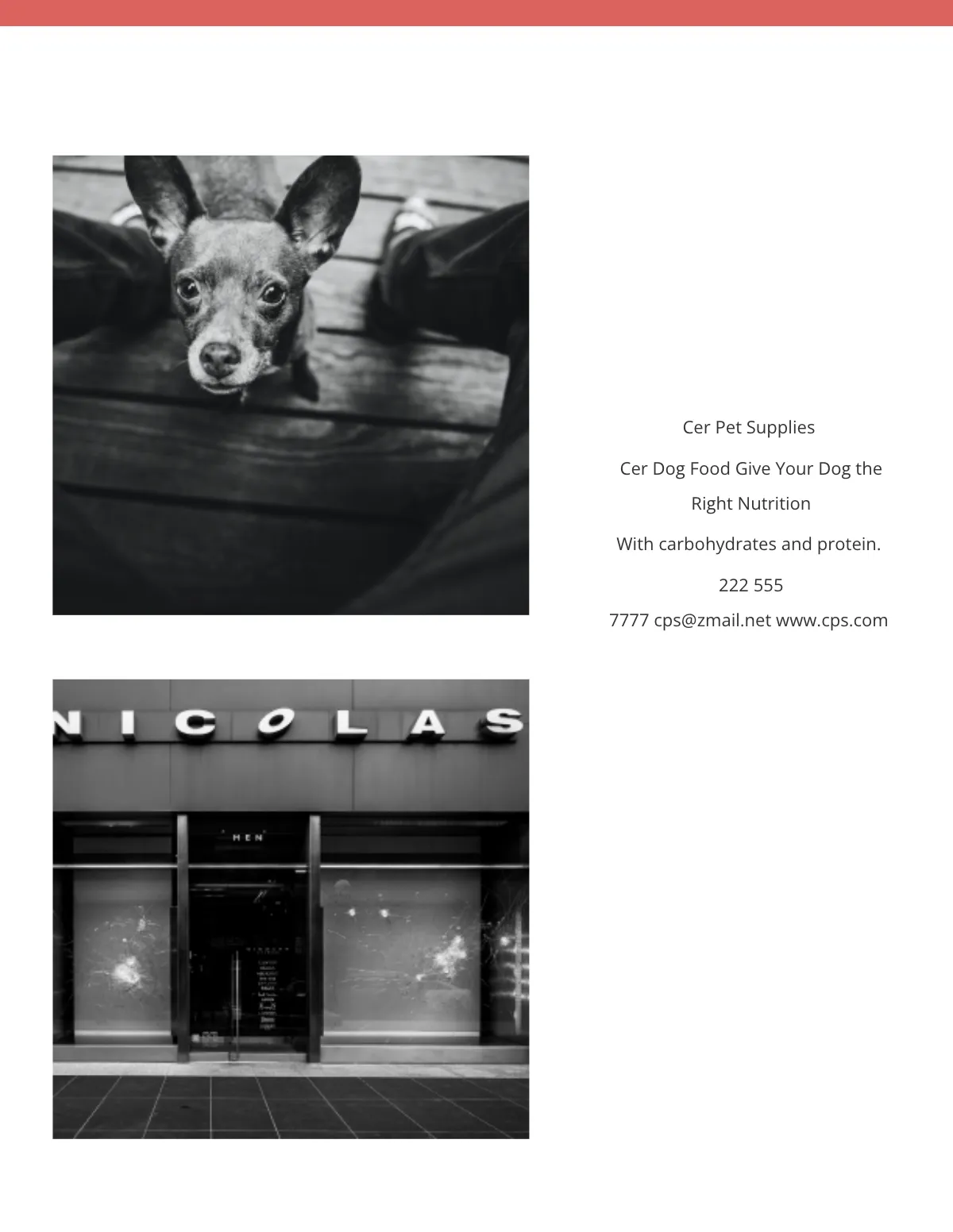 Free Blank eBook Template to Edit Online