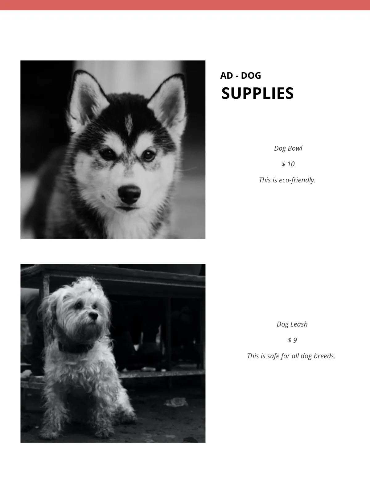 Free Blank eBook Template to Edit Online