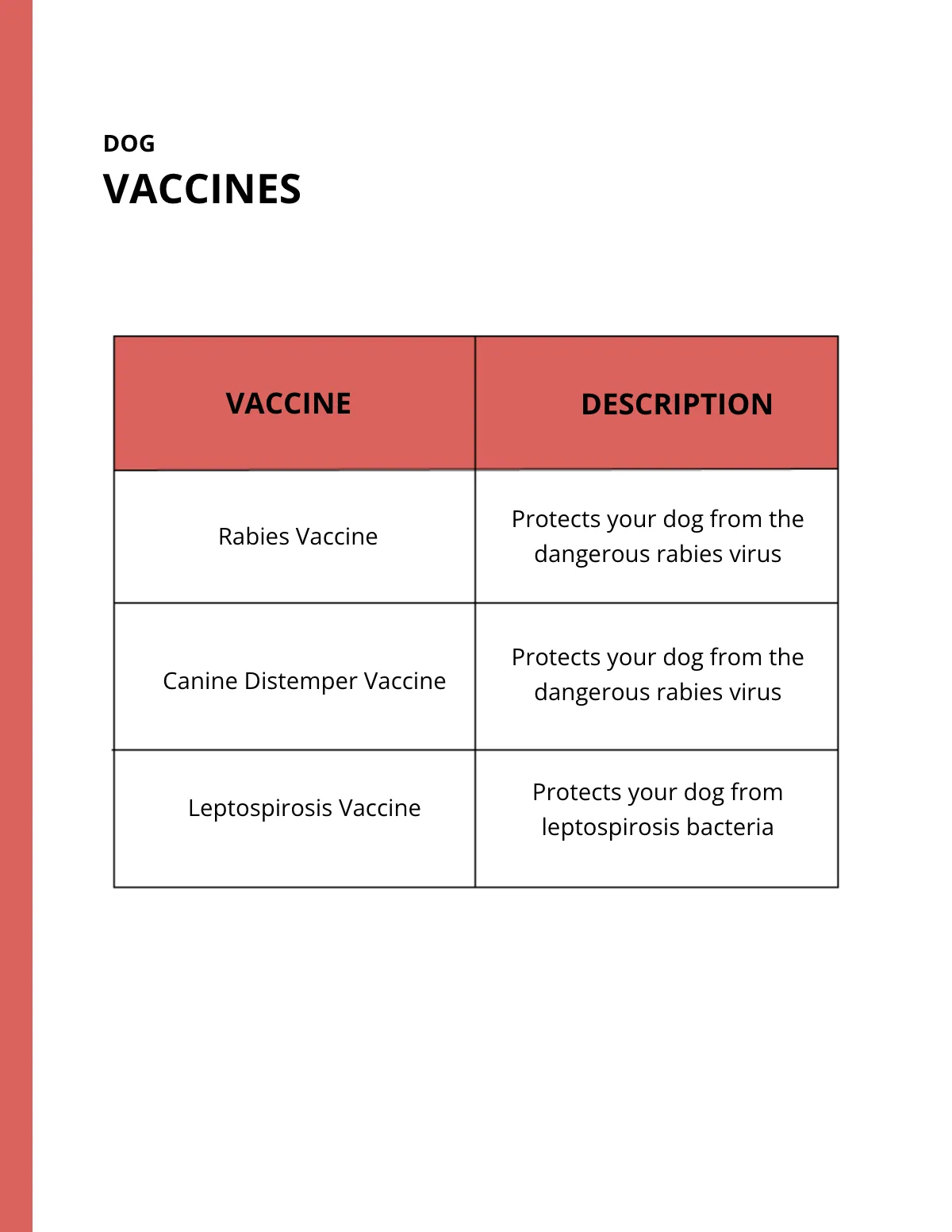 Free Blank eBook Template to Edit Online