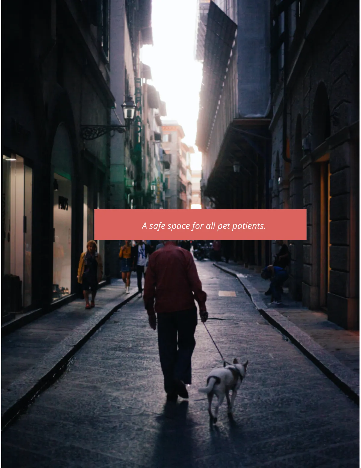 Free Blank eBook Template to Edit Online