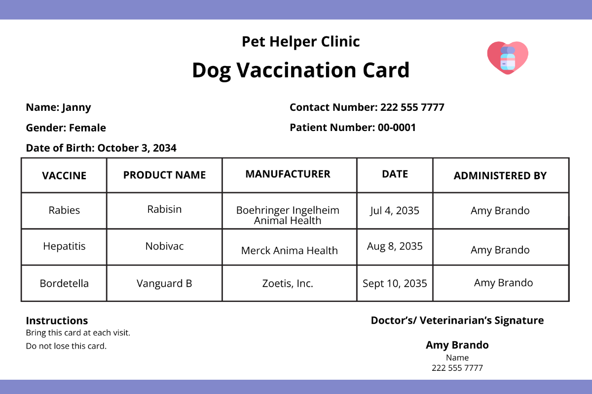 FREE Vaccine Card Template Download In Word Google Docs Illustrator 