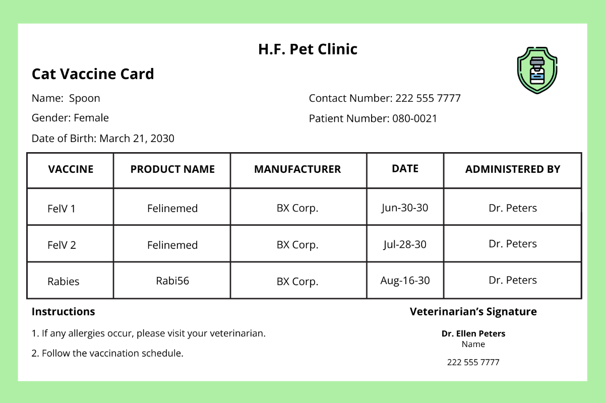 Free Simple Vaccine Card Template