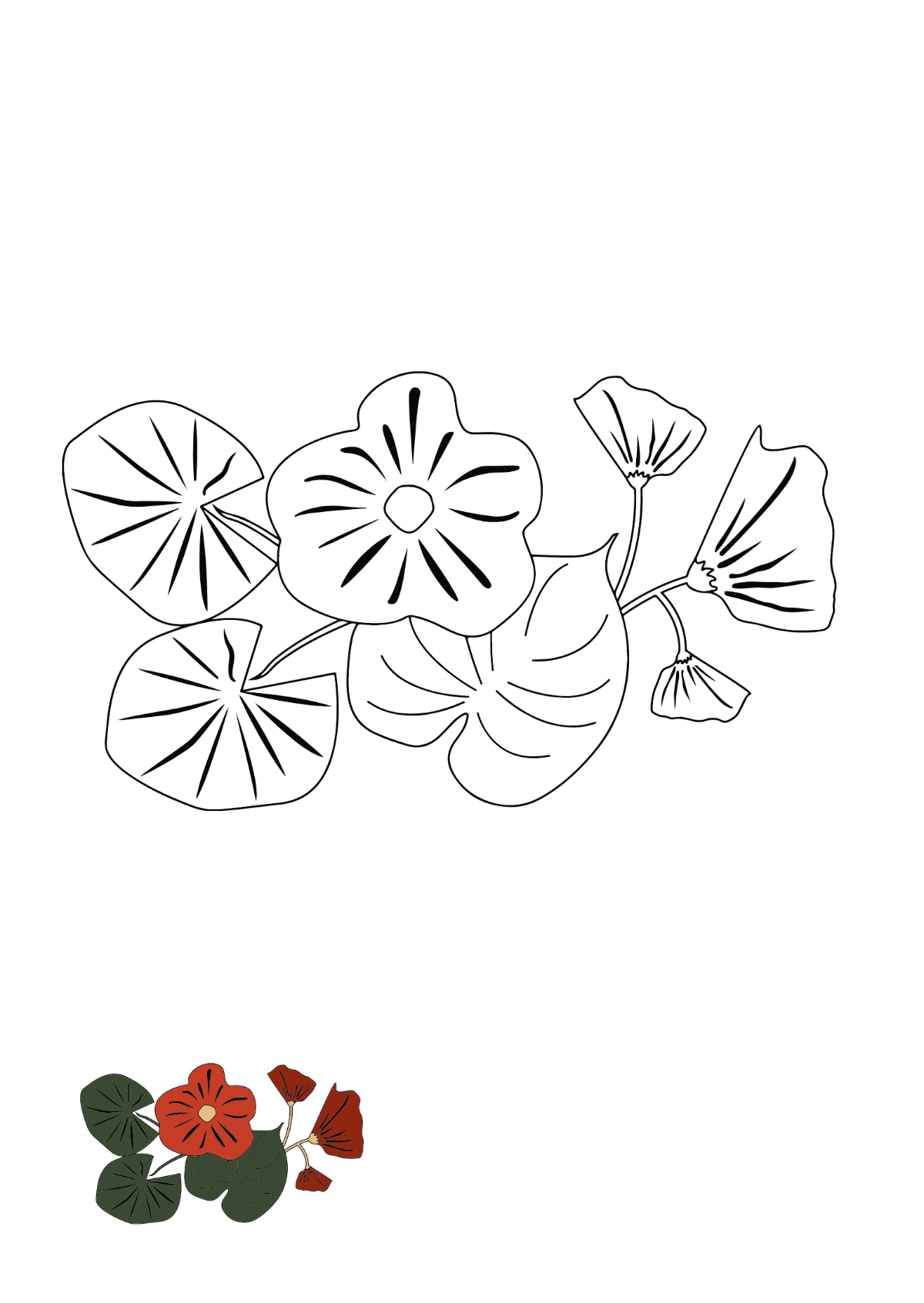 Vintage Floral Coloring Page Template