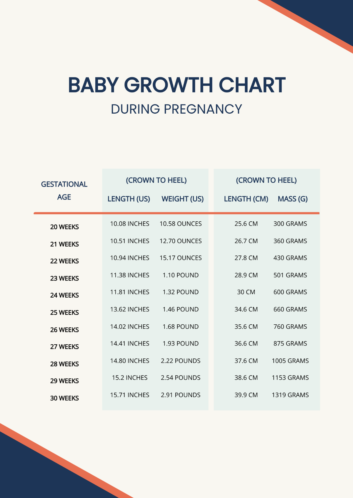 Baby Growth Chart During Pregnancy Template