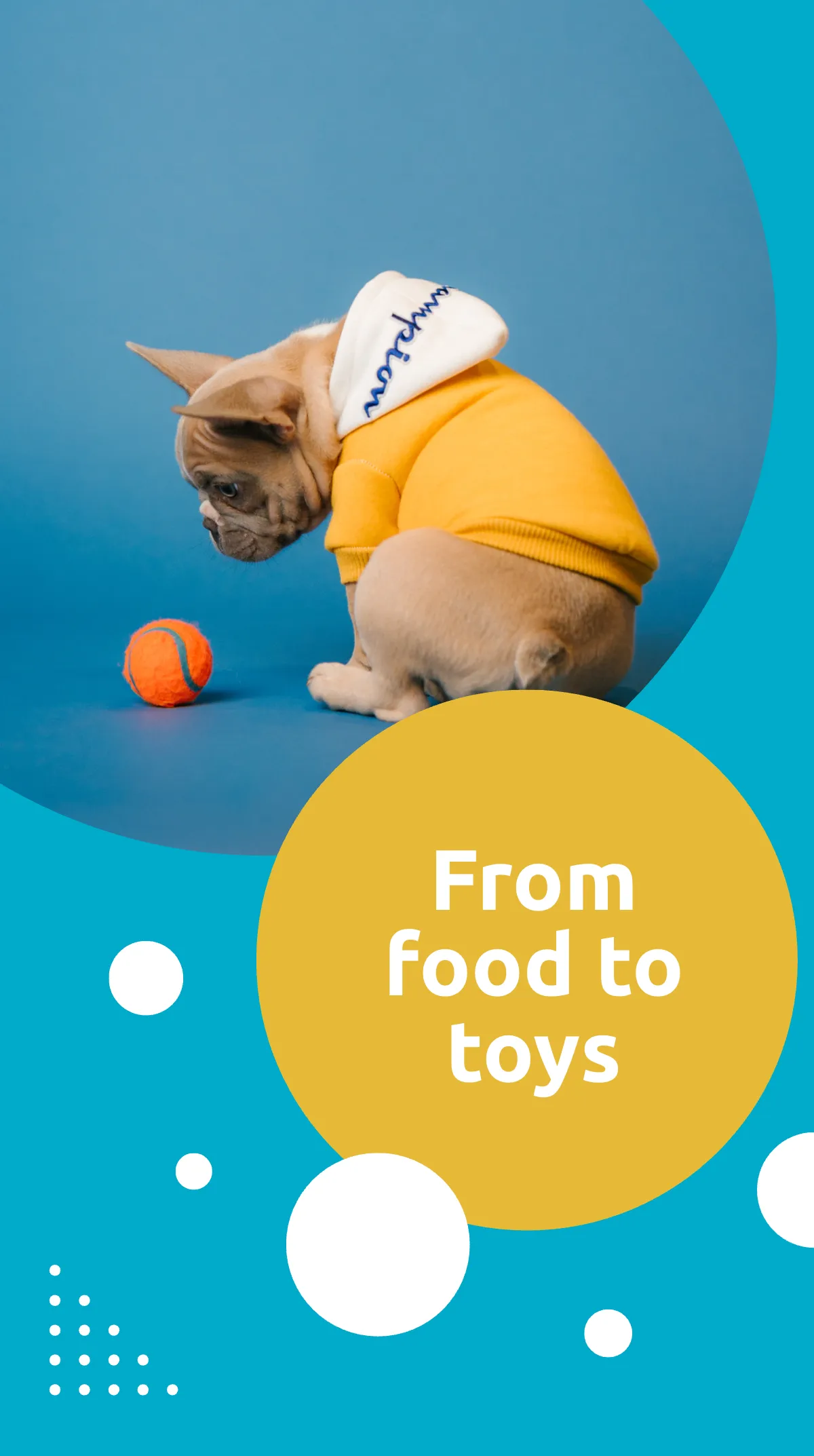 Free Pet Supplies Instagram Story Ad Template to Edit Online