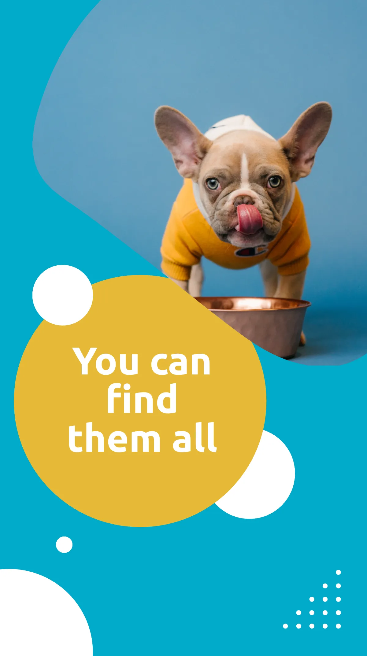 Free Pet Supplies Instagram Story Ad Template to Edit Online