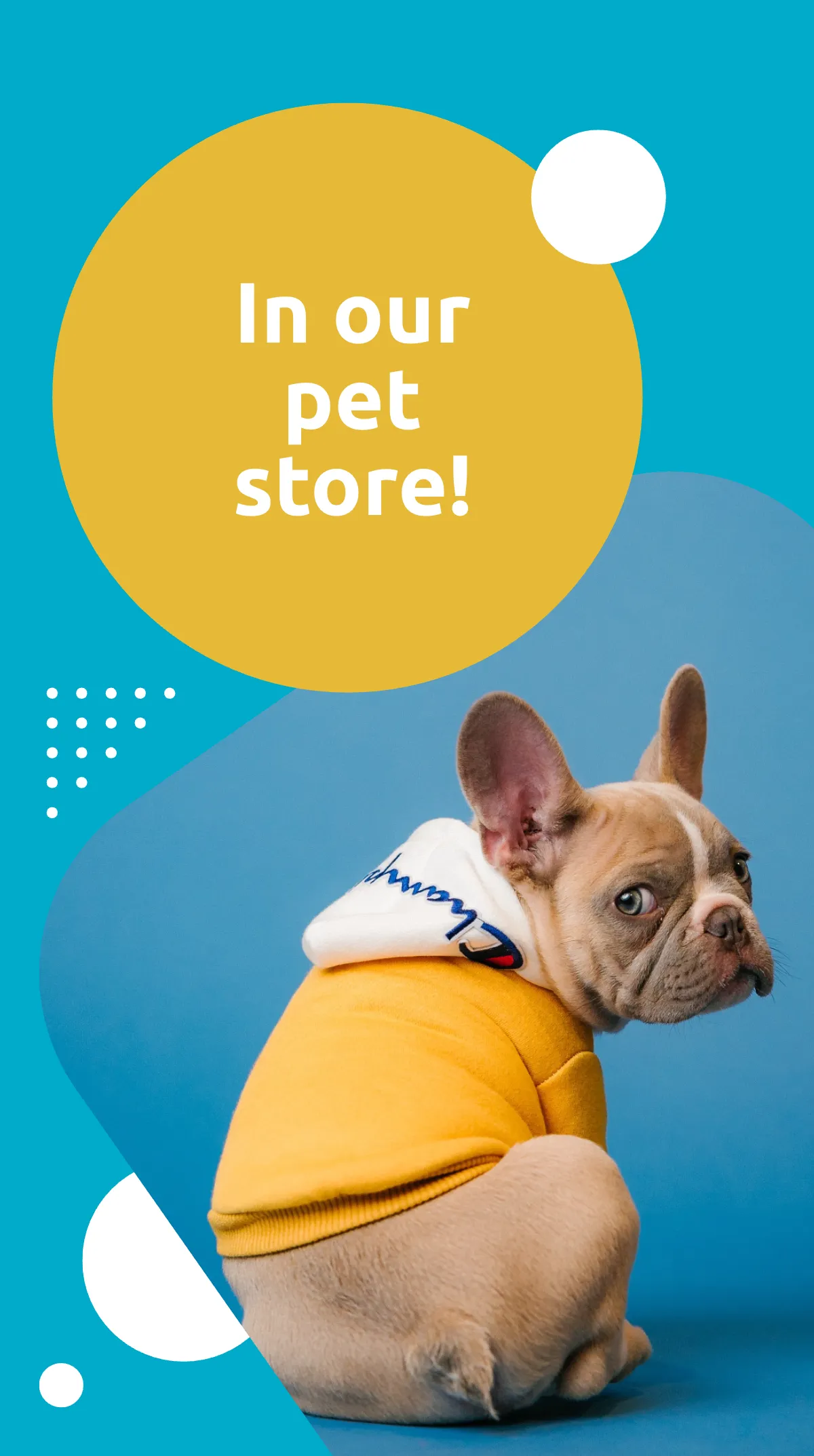 Free Pet Supplies Instagram Story Ad Template to Edit Online