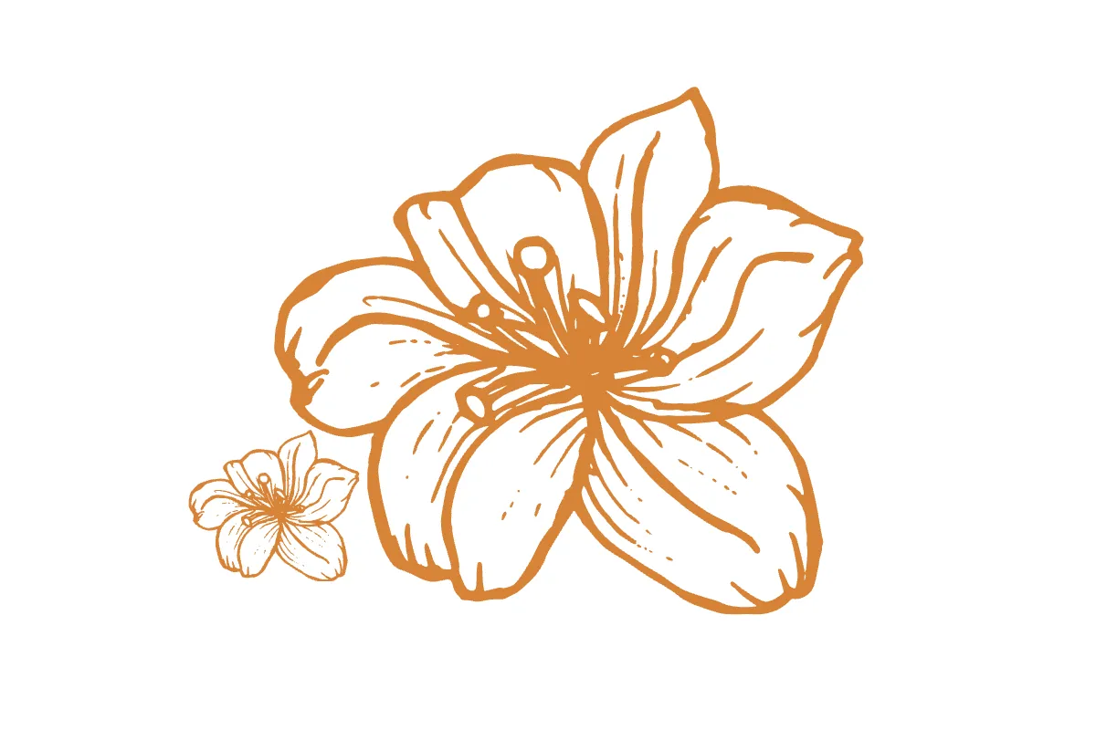 Free Simple Pop Up Card Template to Edit Online