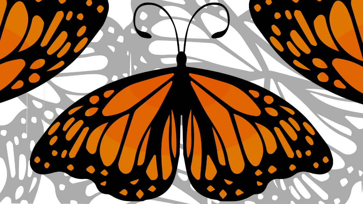 Free Monarch Butterfly Background Template