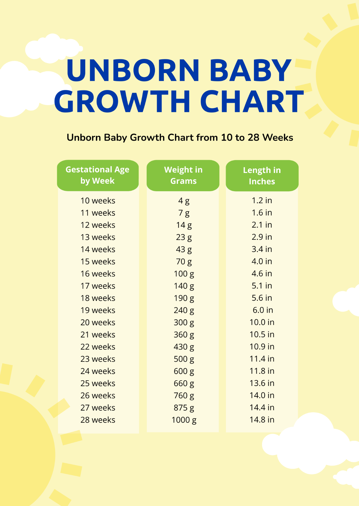 Free Unborn Baby Growth Chart Template Edit Online Download Template